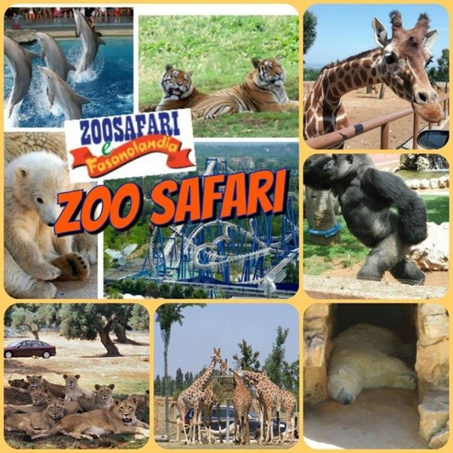 fasano zoo safari calendario